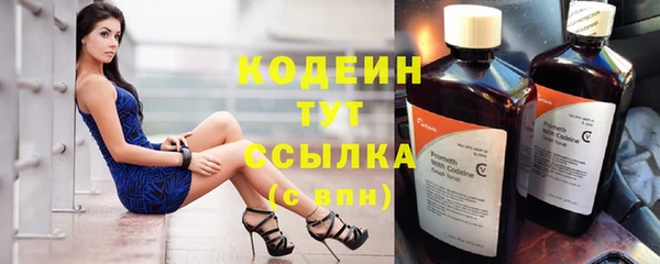 сатива Козельск