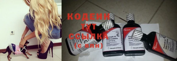 mdpv Весьегонск