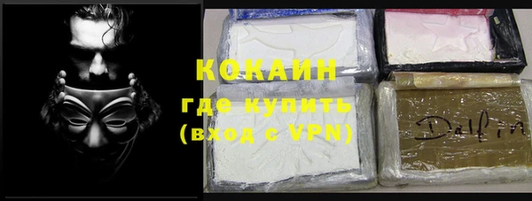 сатива Козельск