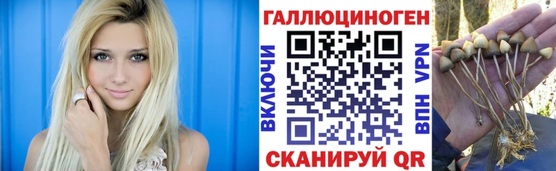 цены наркотик  omg маркетплейс  Галлюциногенные грибы MAGIC MUSHROOMS  Ленинск-Кузнецкий 